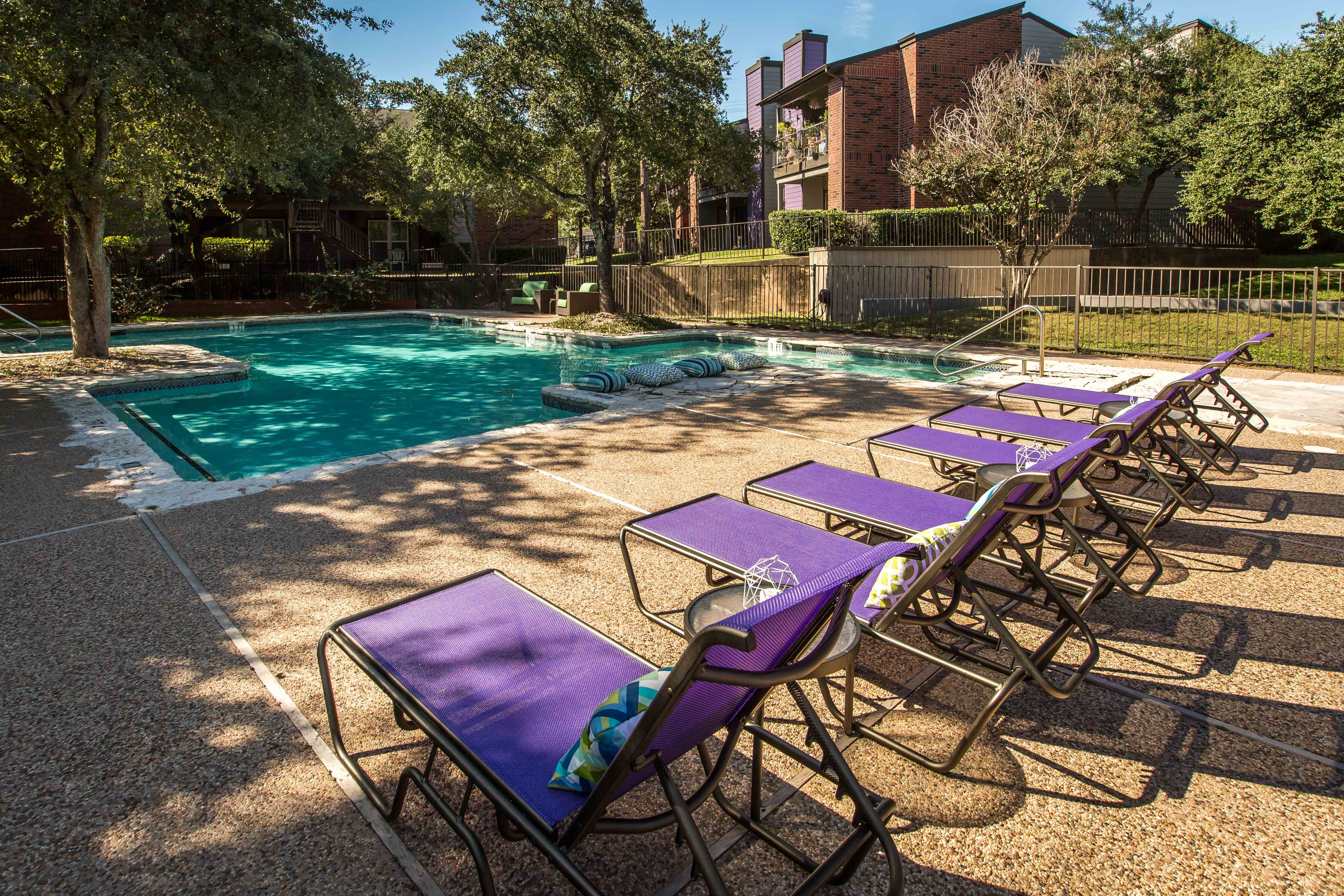 Photos and Video of The Violet in Austin, TX